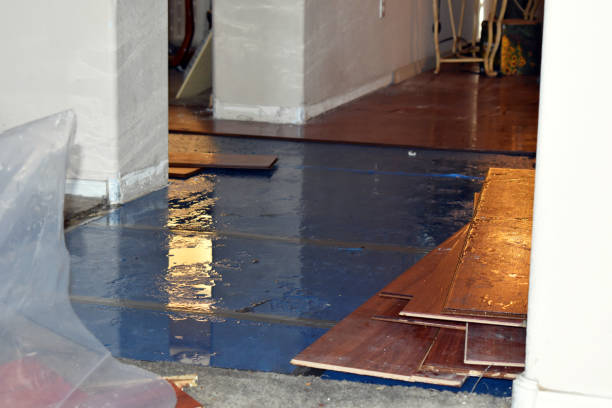 Professional Basement Flood Cleanup technician working in Fanwood, NJ