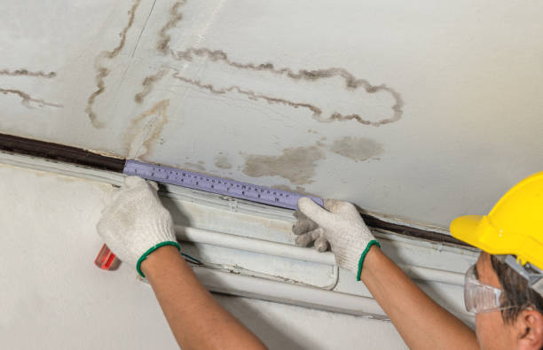 Reliable Basement Flood Cleanup contractor in Fanwood, NJ by Aqua Guard Water Damage